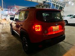 جيب رينيجيد